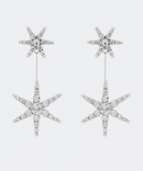 Crystal star drop Earrings